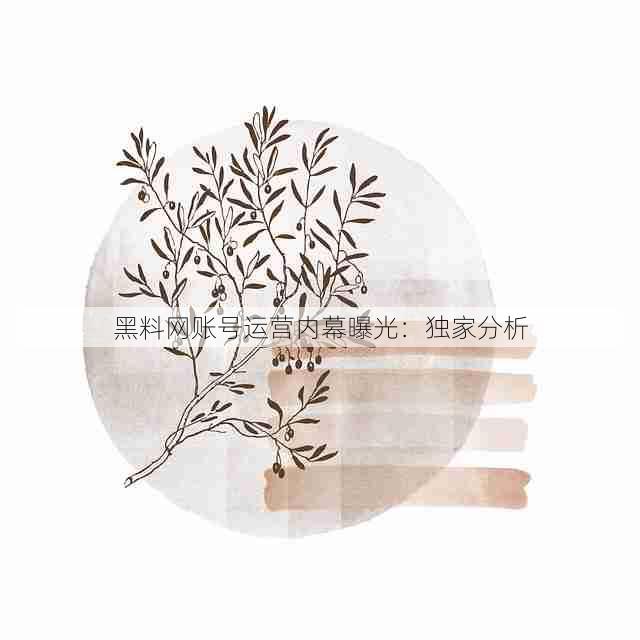 黑料网账号运营内幕曝光:独家分析