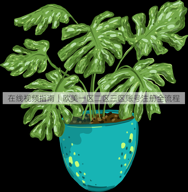 在线视频指南｜欧美一区二区三区账号注册全流程