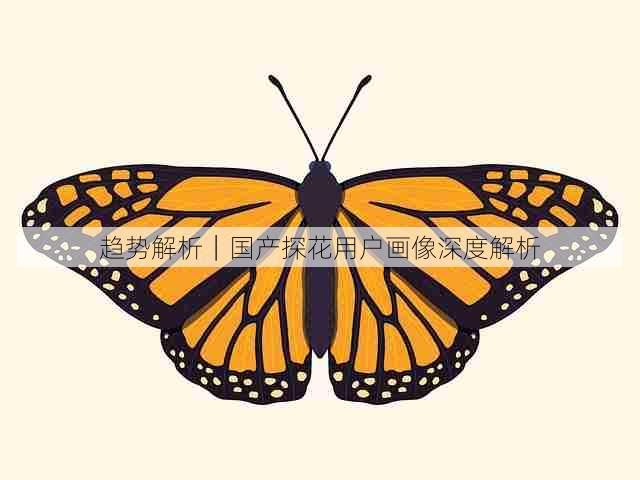 趋势解析|国产探花用户画像深度解析