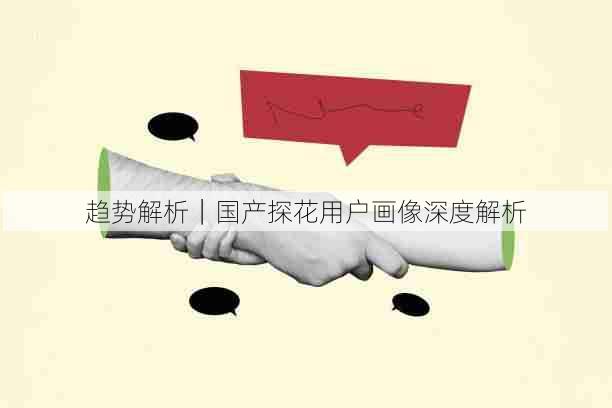 趋势解析|国产探花用户画像深度解析