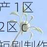 隐私安全指南 - 国产自产 1区2区 c短剧制作流程详解，国产区_1
