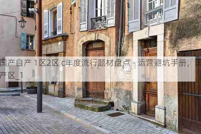 国产自产 1区2区 c年度流行题材盘点 - 运营避坑手册，国产区_1