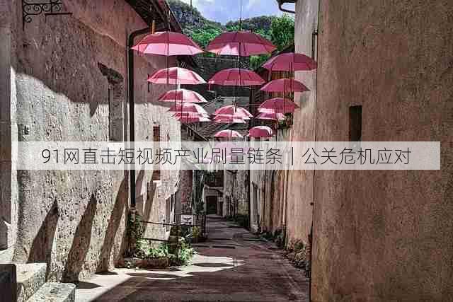 91网直击短视频产业刷量链条｜公关危机应对
