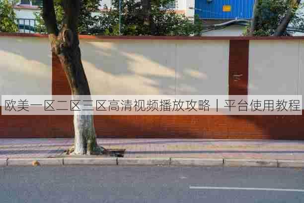 欧美一区二区三区高清视频播放攻略｜平台使用教程