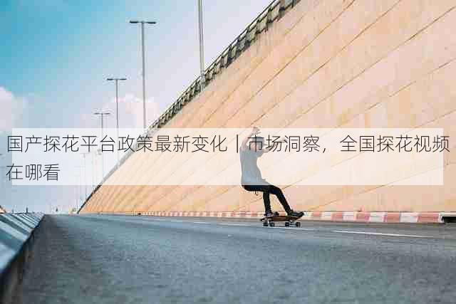 国产探花平台政策最新变化｜市场洞察，全国探花视频在哪看