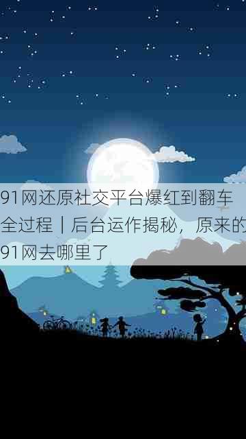 91网还原社交平台爆红到翻车全过程|后台运作揭秘,原来的91网去哪里了