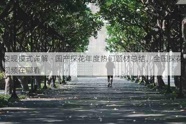 变现模式详解 - 国产探花年度热门题材总结,全国探花视频在哪看