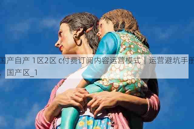 国产自产 1区2区 c付费订阅内容运营模式｜运营避坑手册，国产区_1
