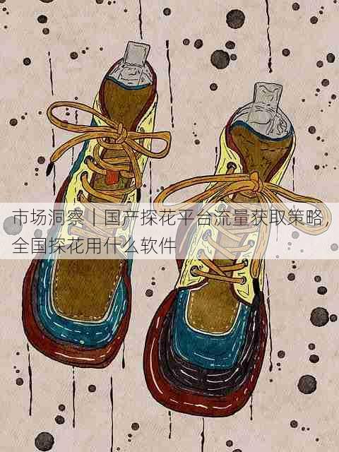 市场洞察｜国产探花平台流量获取策略，全国探花用什么软件