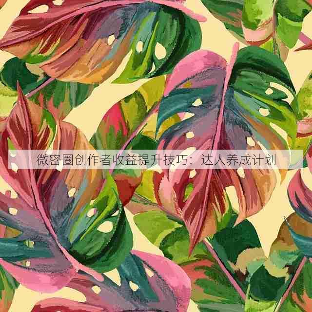 微密圈创作者收益提升技巧：达人养成计划