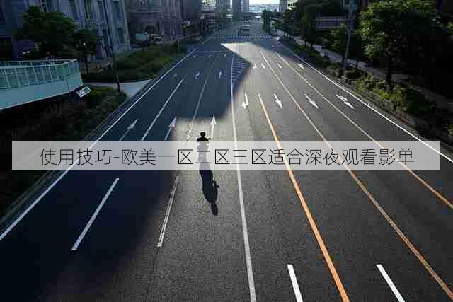 使用技巧-欧美一区二区三区适合深夜观看影单