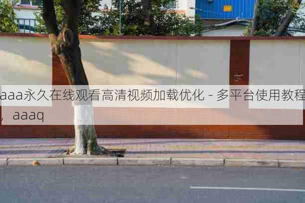 aaa永久在线观看高清视频加载优化 - 多平台使用教程，aaaq