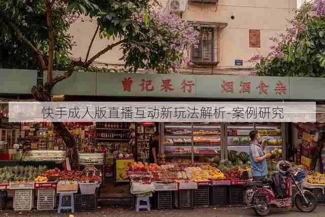 快手成人版直播互动新玩法解析-案例研究