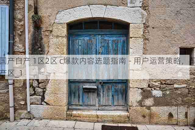 国产自产 1区2区 c爆款内容选题指南 - 用户运营策略，国产区_1