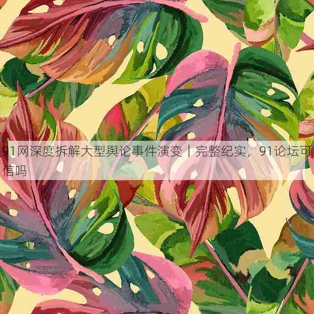 91网深度拆解大型舆论事件演变｜完整纪实，91论坛可信吗