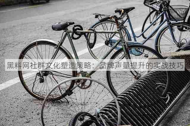 黑料网社群文化塑造策略：品牌声量提升的实战技巧