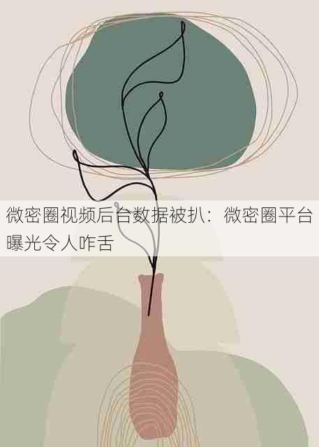 微密圈视频后台数据被扒：微密圈平台曝光令人咋舌
