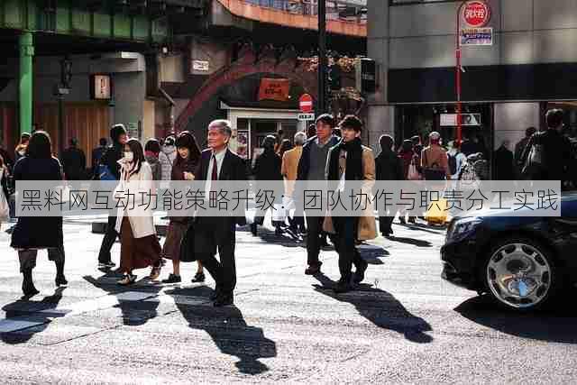 黑料网互动功能策略升级：团队协作与职责分工实践
