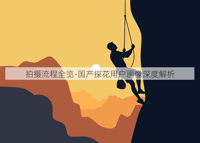拍摄流程全览-国产探花用户画像深度解析