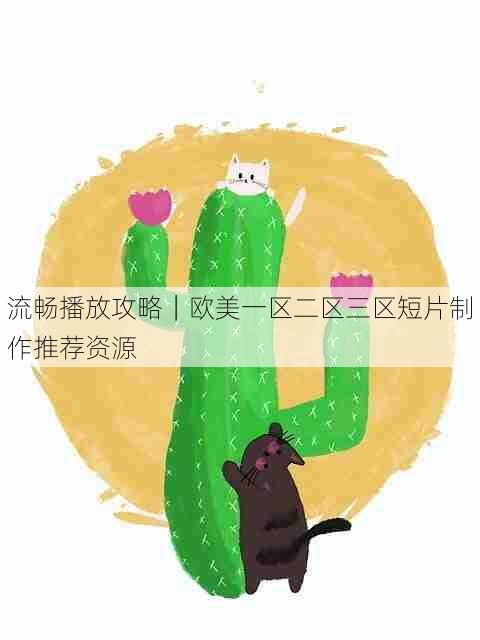 流畅播放攻略｜欧美一区二区三区短片制作推荐资源