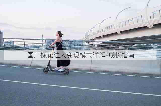 国产探花达人变现模式详解-成长指南