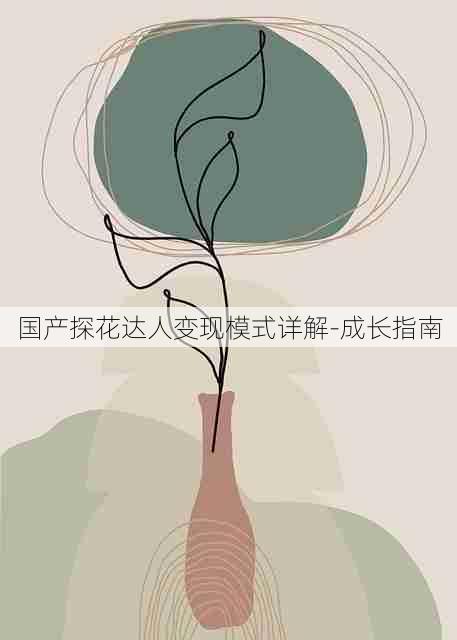 国产探花达人变现模式详解-成长指南