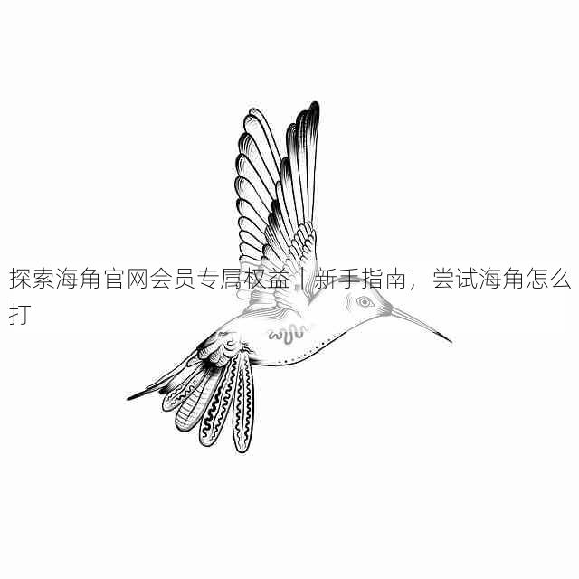 探索海角官网会员专属权益|新手指南,尝试海角怎么打