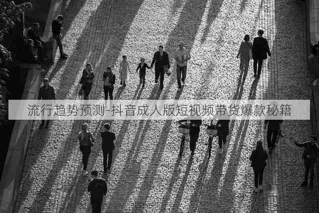 流行趋势预测-抖音成人版短视频带货爆款秘籍